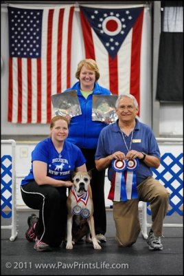 2011-Agility-HIT