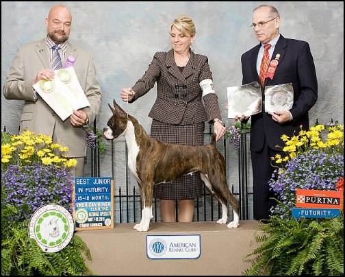 2011-bjf