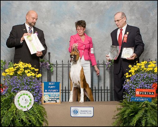 2011-bp