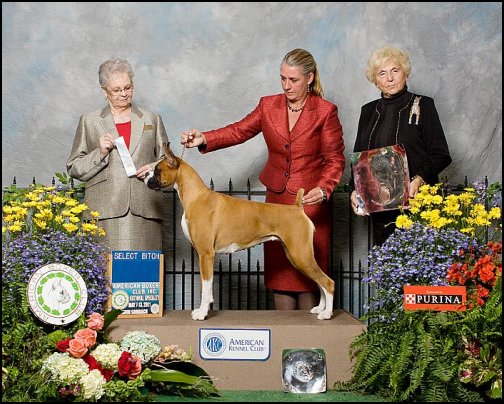 2011-select-bitch