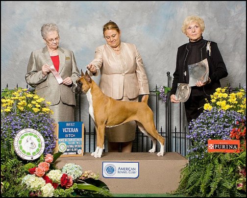 2011-vb