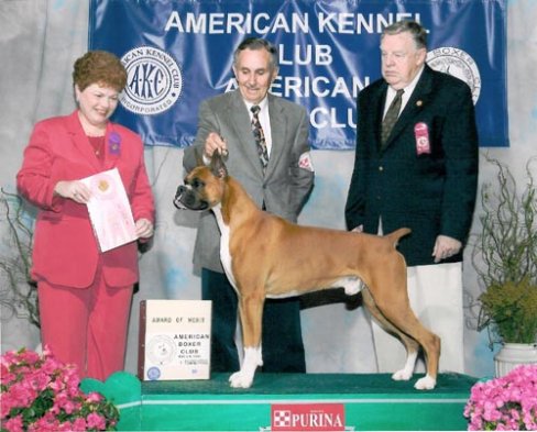 2003-aom2