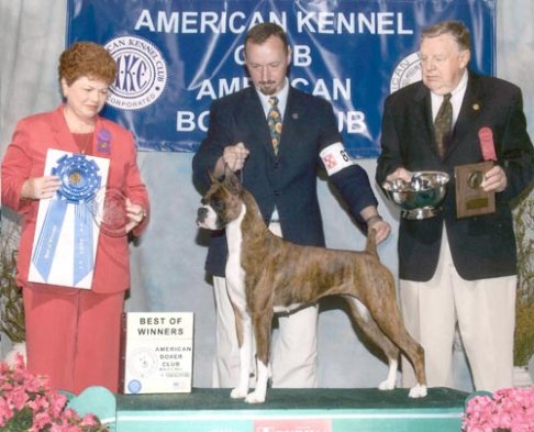 2003-bow